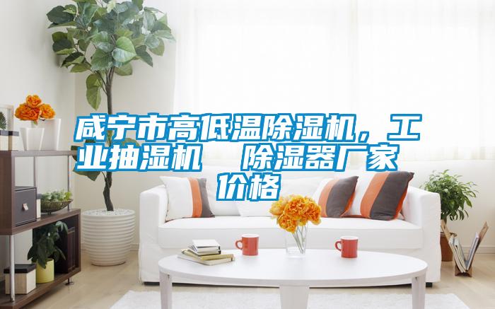 咸寧市高低溫除濕機(jī)，工業(yè)抽濕機(jī)  除濕器廠家 價(jià)格