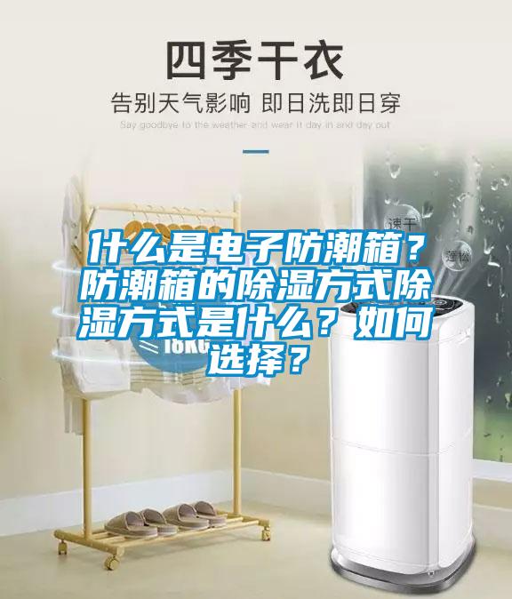 什么是電子防潮箱？防潮箱的除濕方式除濕方式是什么？如何選擇？