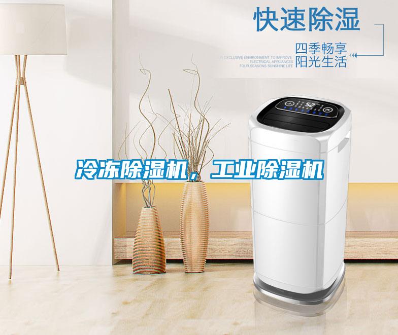 冷凍除濕機(jī)，工業(yè)除濕機(jī)