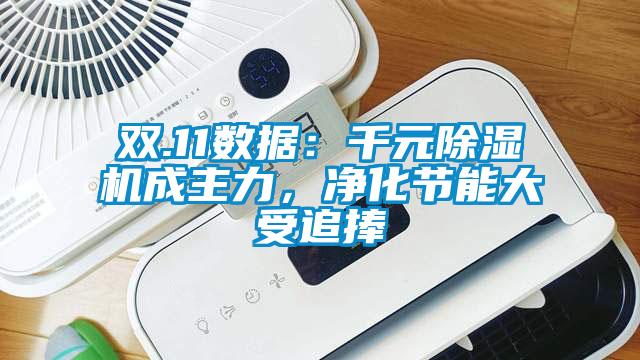 雙.11數(shù)據(jù)：千元除濕機(jī)成主力，凈化節(jié)能大受追捧
