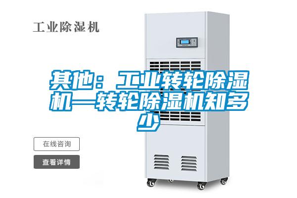 其他:工業(yè)轉輪除濕機—轉輪除濕機知多少
