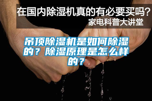 吊頂除濕機是如何除濕的？除濕原理是怎么樣的？