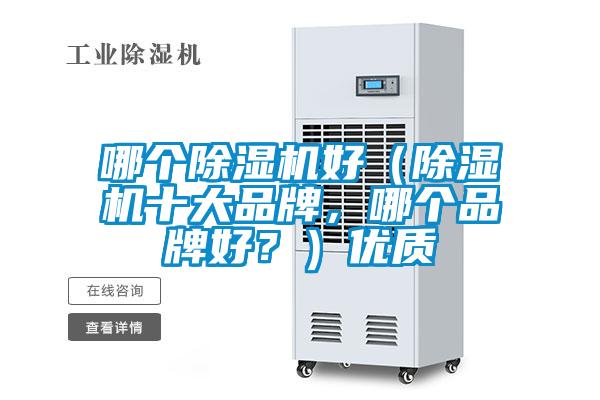 哪個除濕機好（除濕機十大品牌，哪個品牌好？）優(yōu)質