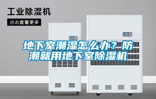 地下室潮濕怎么辦？防潮就用地下室除濕機