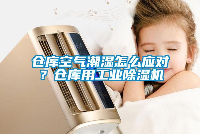 倉(cāng)庫(kù)空氣潮濕怎么應(yīng)對(duì)？倉(cāng)庫(kù)用工業(yè)除濕機(jī)