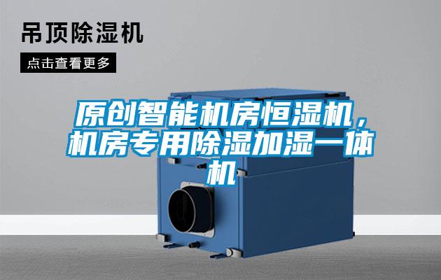 原創(chuàng)智能機(jī)房恒濕機(jī)，機(jī)房專(zhuān)用除濕加濕一體機(jī)