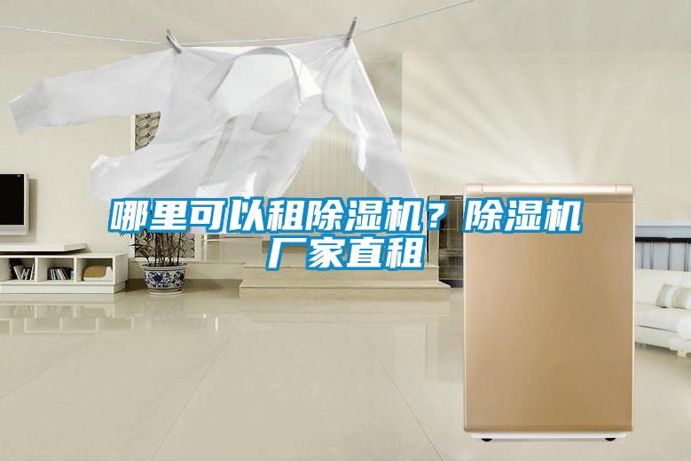 哪里可以租除濕機(jī)？除濕機(jī)廠家直租