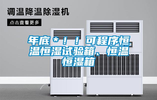 年底＊！！可程序恒溫恒濕試驗(yàn)箱、恒溫恒濕箱