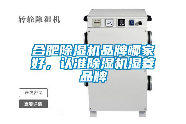 合肥除濕機品牌哪家好，認準除濕機濕菱品牌