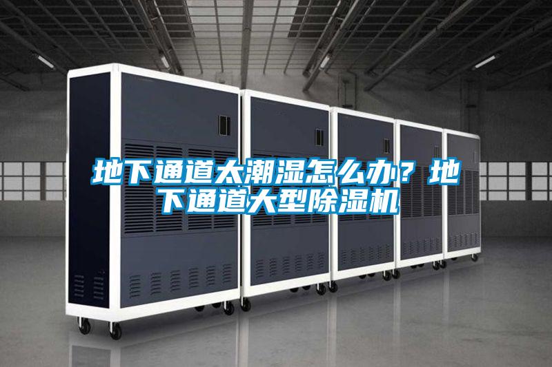 地下通道太潮濕怎么辦？地下通道大型除濕機(jī)