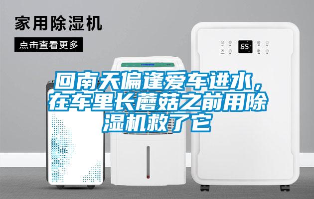 回南天偏逢愛車進(jìn)水，在車?yán)镩L蘑菇之前用除濕機(jī)救了它