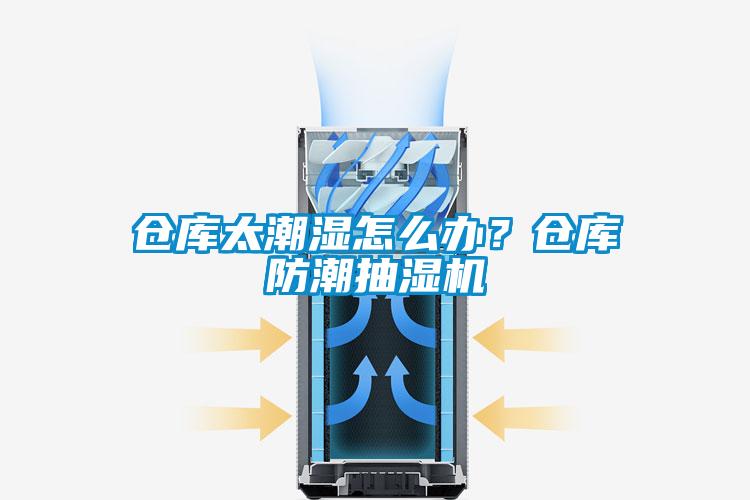 倉庫太潮濕怎么辦？倉庫防潮抽濕機(jī)
