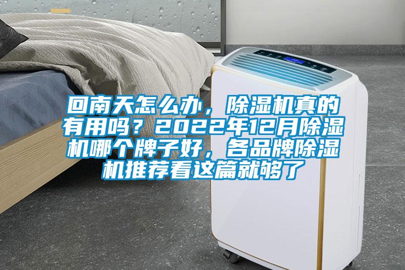 回南天怎么辦，除濕機真的有用嗎？2022年12月除濕機哪個牌子好，各品牌除濕機推薦看這篇就夠了