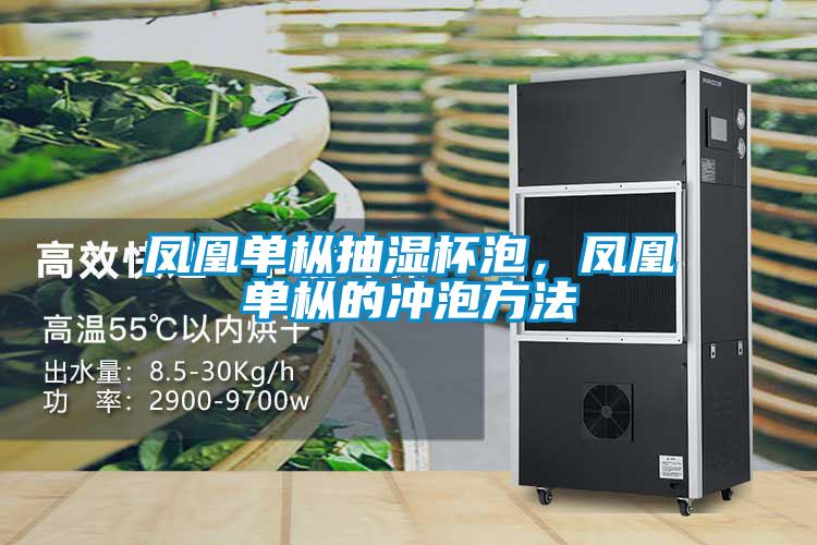 鳳凰單樅抽濕杯泡，鳳凰單樅的沖泡方法