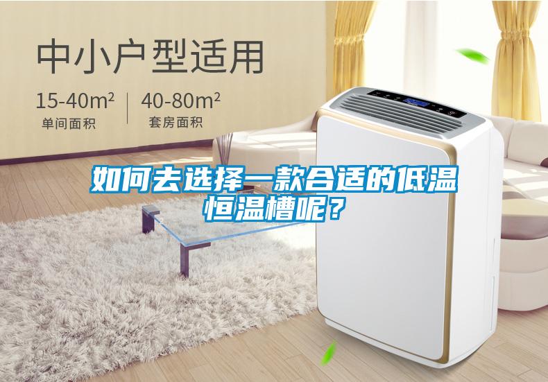 如何去選擇一款合適的低溫恒溫槽呢？