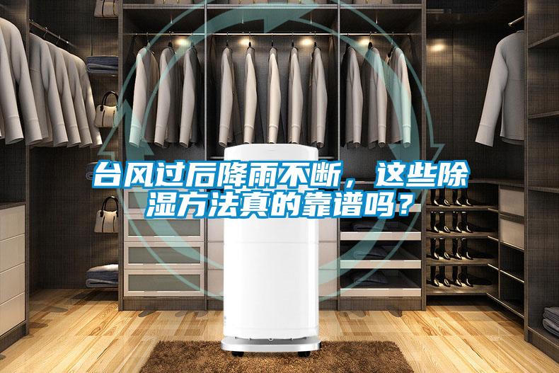 臺風過后降雨不斷，這些除濕方法真的靠譜嗎？