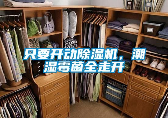 只要開動除濕機，潮濕霉菌全走開