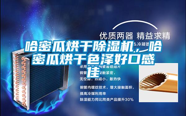 哈密瓜烘干除濕機，哈密瓜烘干色澤好口感佳