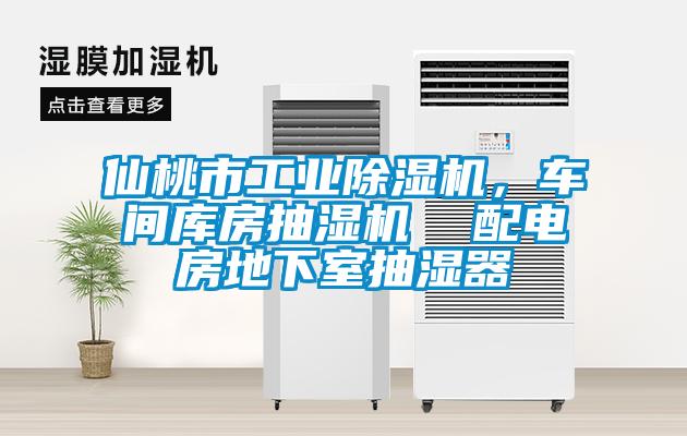 仙桃市工業(yè)除濕機(jī)，車間庫房抽濕機(jī)  配電房地下室抽濕器