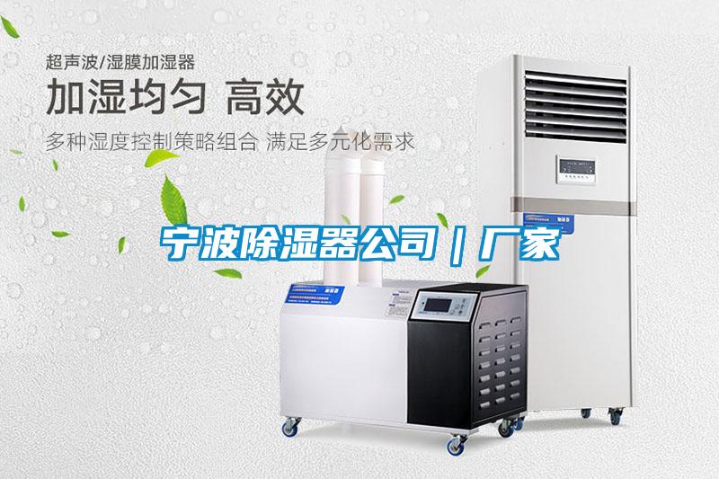 寧波除濕器公司｜廠(chǎng)家