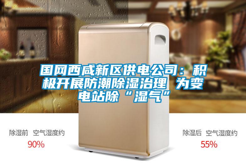 國網(wǎng)西咸新區(qū)供電公司:積極開展防潮除濕治理 為變電站除“濕氣”