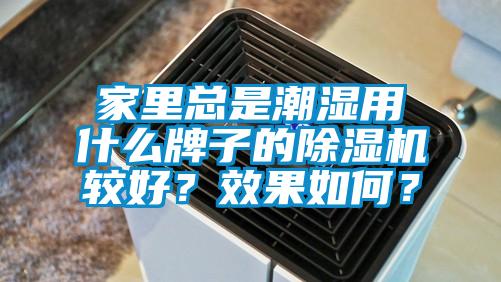 家里總是潮濕用什么牌子的除濕機較好？效果如何？
