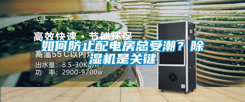 如何防止配電房總受潮？除濕機(jī)是關(guān)鍵