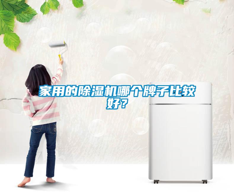 家用的除濕機(jī)哪個牌子比較好？