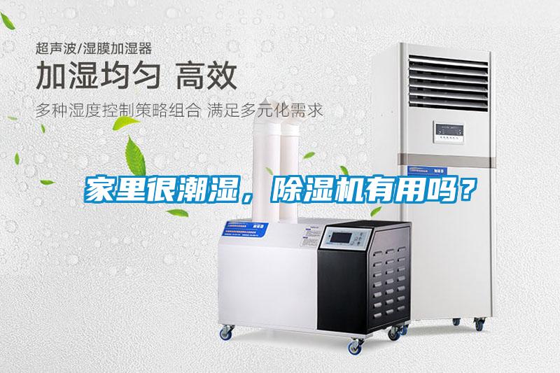 家里很潮濕，除濕機(jī)有用嗎？