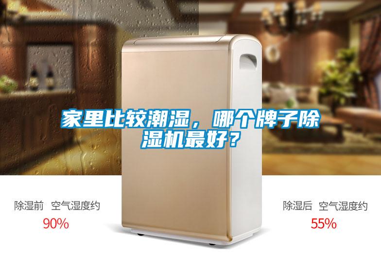 家里比較潮濕，哪個牌子除濕機最好？