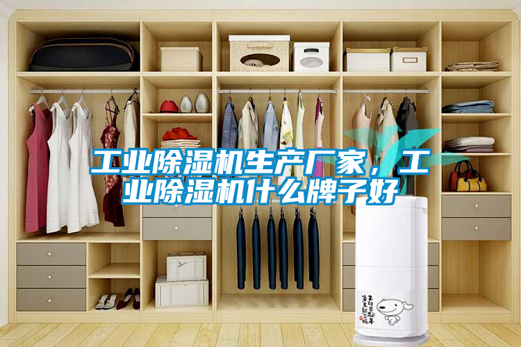 工業(yè)除濕機(jī)生產(chǎn)廠家，工業(yè)除濕機(jī)什么牌子好