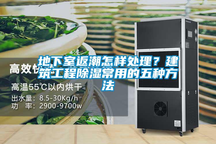 地下室返潮怎樣處理？建筑工程除濕常用的五種方法