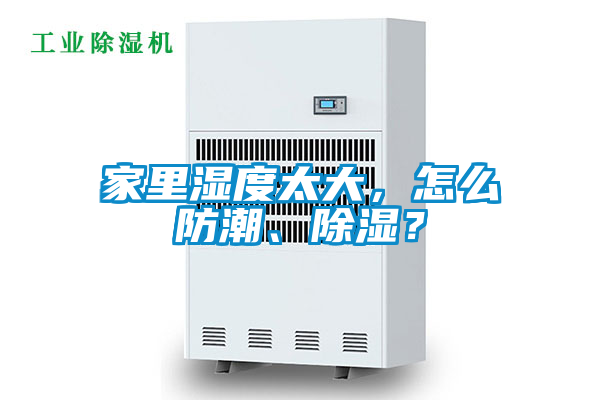家里濕度太大，怎么防潮、除濕？