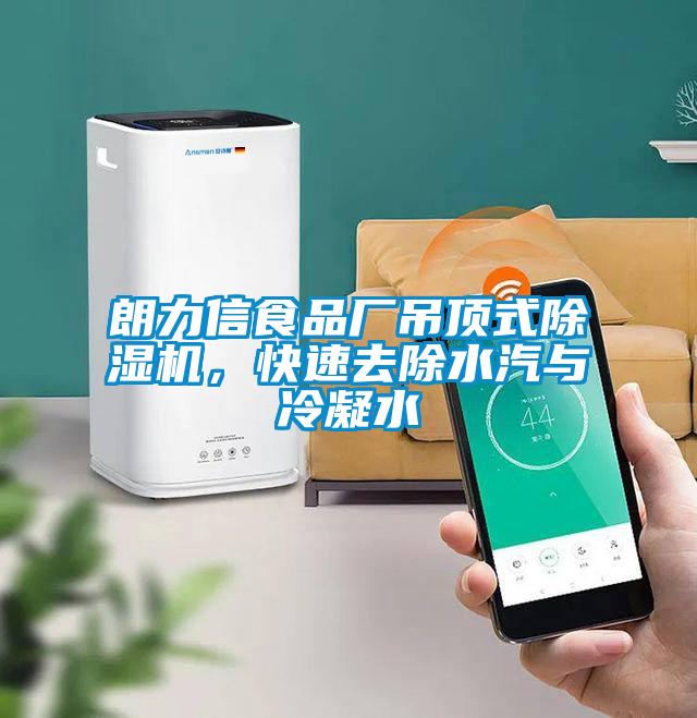 朗力信食品廠吊頂式除濕機(jī)，快速去除水汽與冷凝水