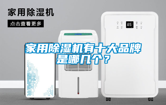 家用除濕機有十大品牌是哪幾個？