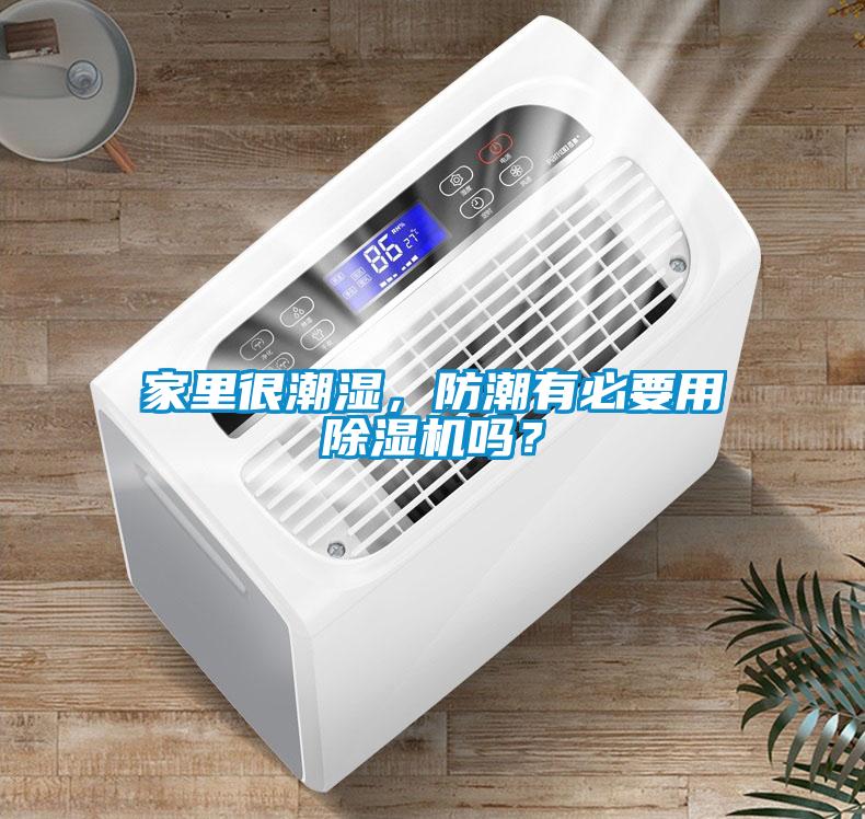 家里很潮濕，防潮有必要用除濕機(jī)嗎？