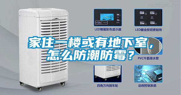 家住一樓或有地下室，怎么防潮防霉？