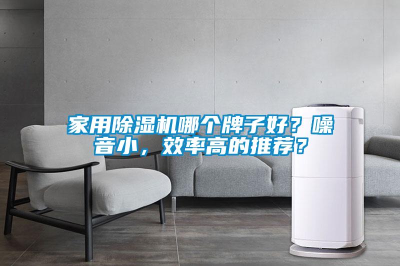 家用除濕機(jī)哪個(gè)牌子好？噪音小，效率高的推薦？