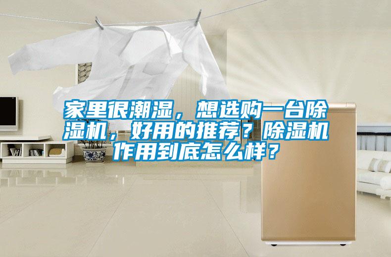 家里很潮濕，想選購一臺除濕機，好用的推薦？除濕機作用到底怎么樣？