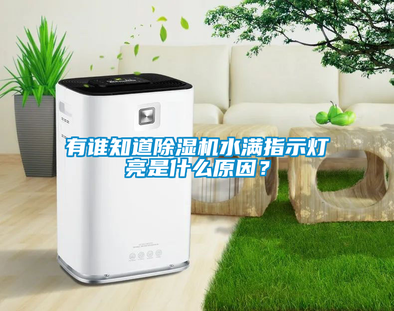 有誰知道除濕機(jī)水滿指示燈亮是什么原因？