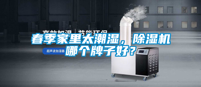 春季家里太潮濕，除濕機(jī)哪個(gè)牌子好？