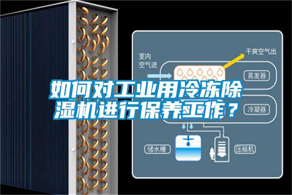 如何對工業(yè)用冷凍除濕機進行保養(yǎng)工作？