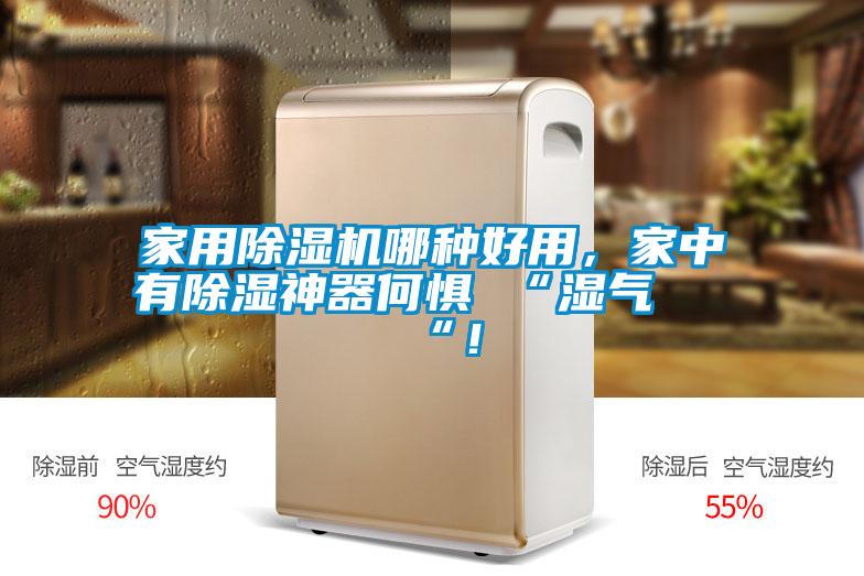 家用除濕機(jī)哪種好用，家中有除濕神器何懼 “濕氣 “！