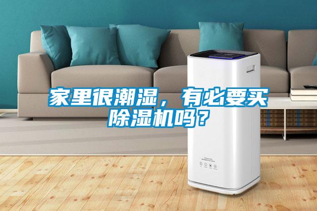 家里很潮濕，有必要買除濕機(jī)嗎？