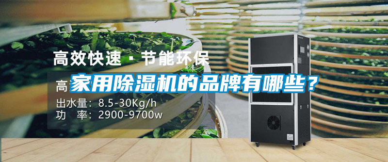 家用除濕機的品牌有哪些？