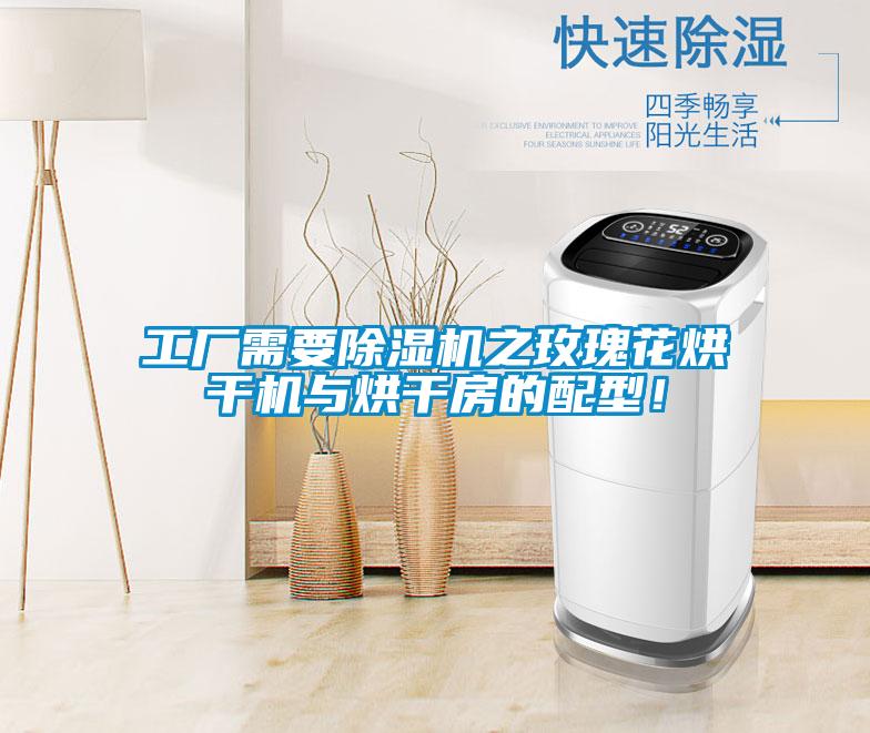工廠需要除濕機(jī)之玫瑰花烘干機(jī)與烘干房的配型！