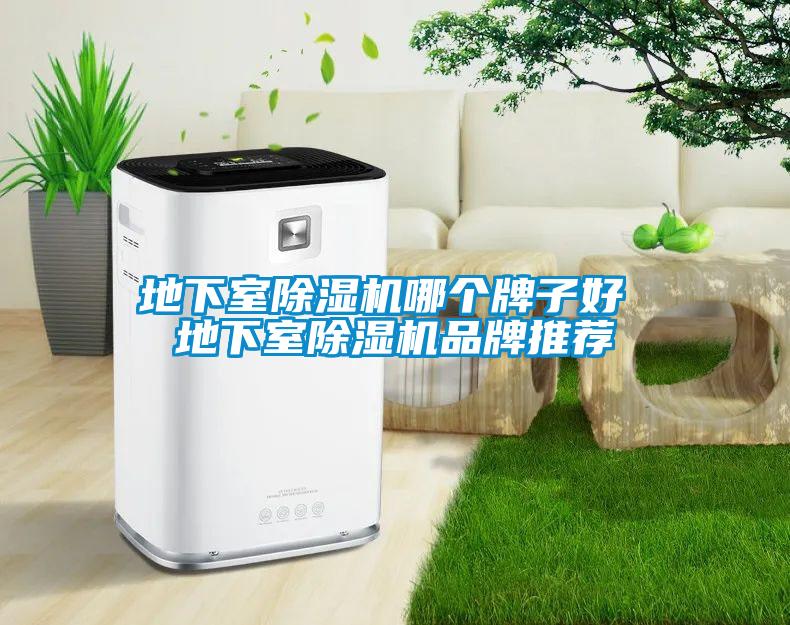 地下室除濕機(jī)哪個牌子好 地下室除濕機(jī)品牌推薦