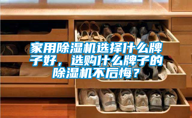 家用除濕機(jī)選擇什么牌子好，選購(gòu)什么牌子的除濕機(jī)不后悔？