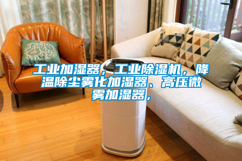 工業(yè)加濕器，工業(yè)除濕機(jī)，降溫除塵霧化加濕器、高壓微霧加濕器，
