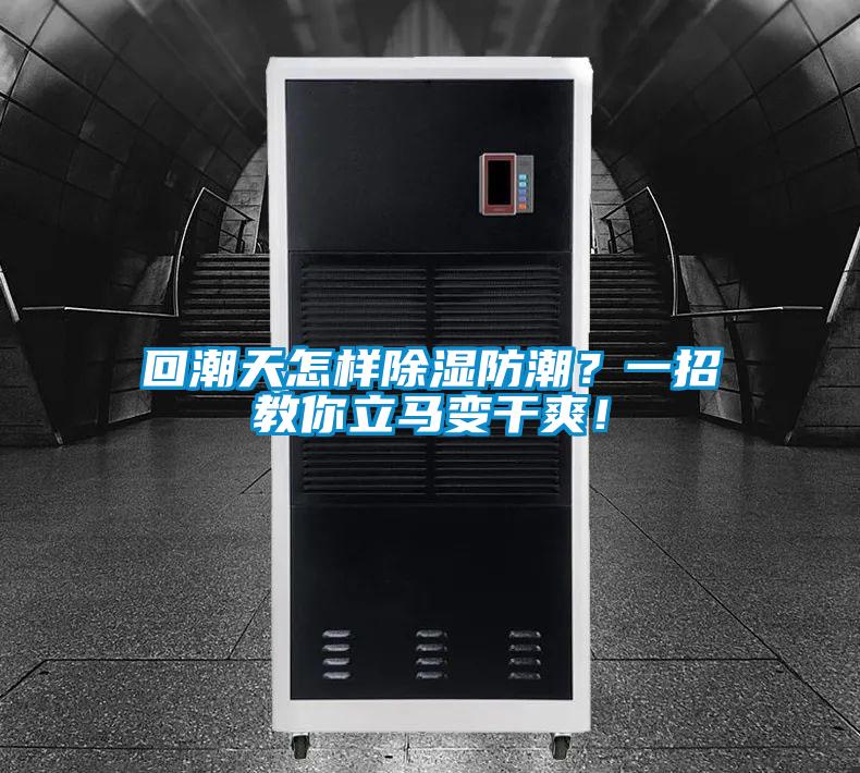 回潮天怎樣除濕防潮？一招教你立馬變干爽！